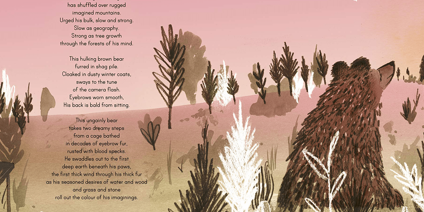 A cartoon bear looks up at a pink sky